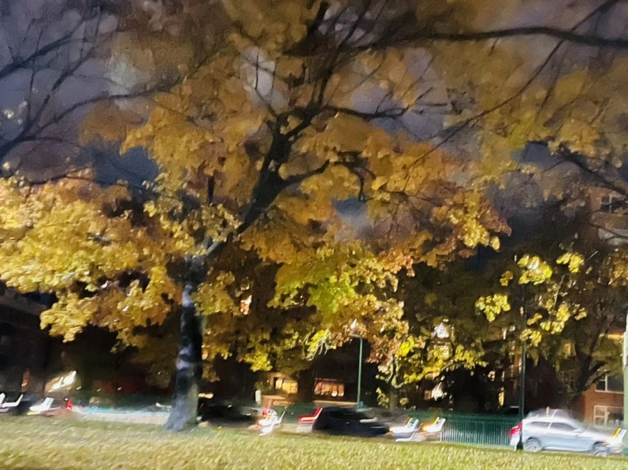 IMG_2836.jpg?type=w966