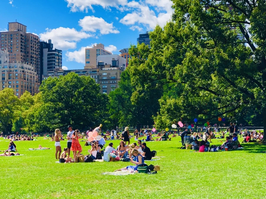 IMG_8869.jpg?type=w966