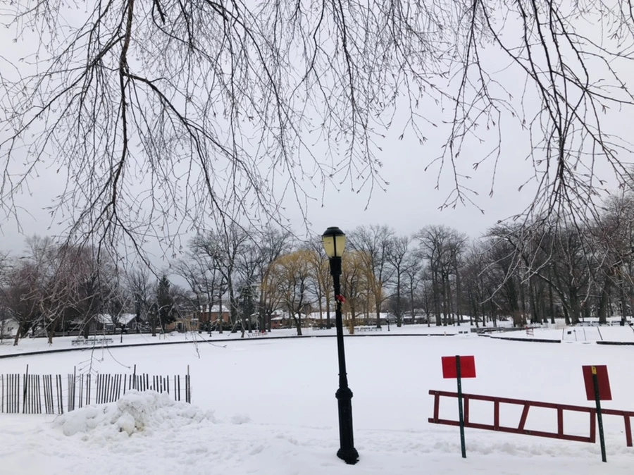 IMG_3615.jpg?type=w966