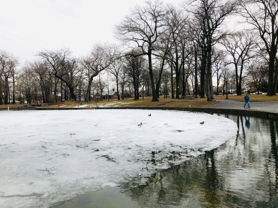 IMG_6234.jpg?type=w966