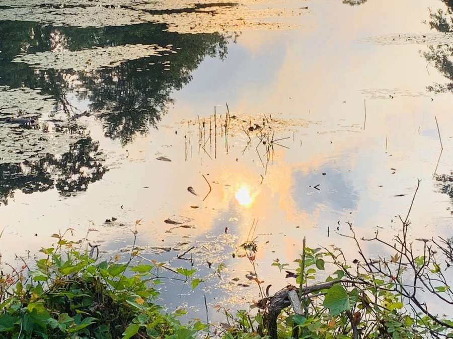 IMG_1470.jpg?type=w966