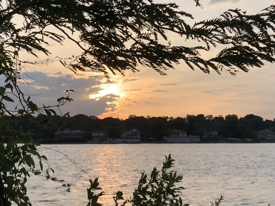 IMG_1783.jpg?type=w966