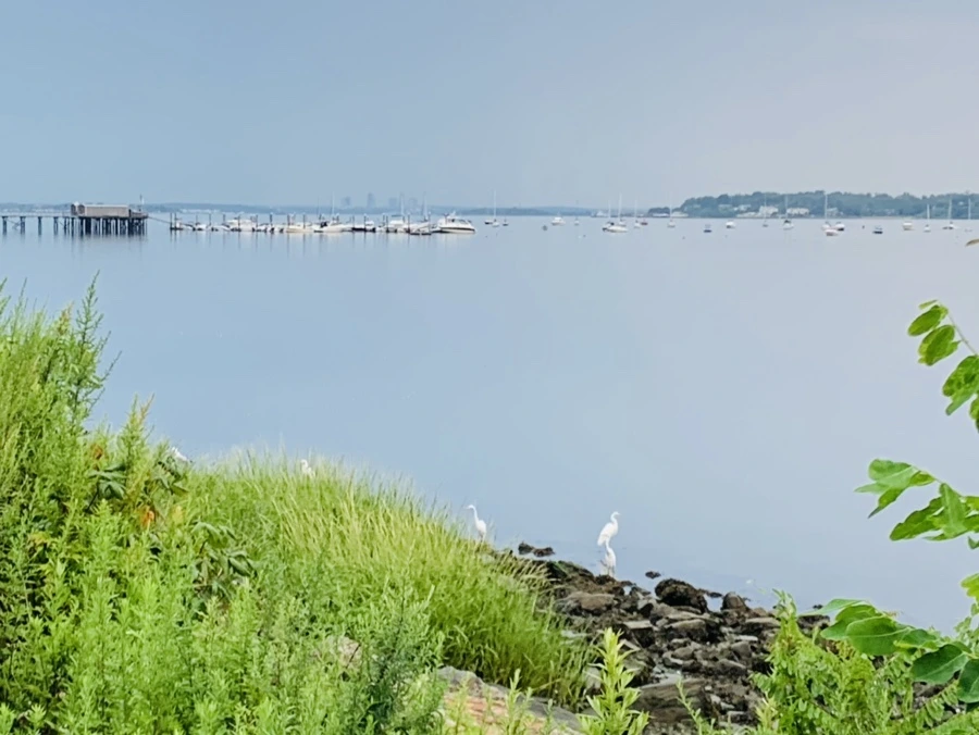 IMG_0572.jpg?type=w966