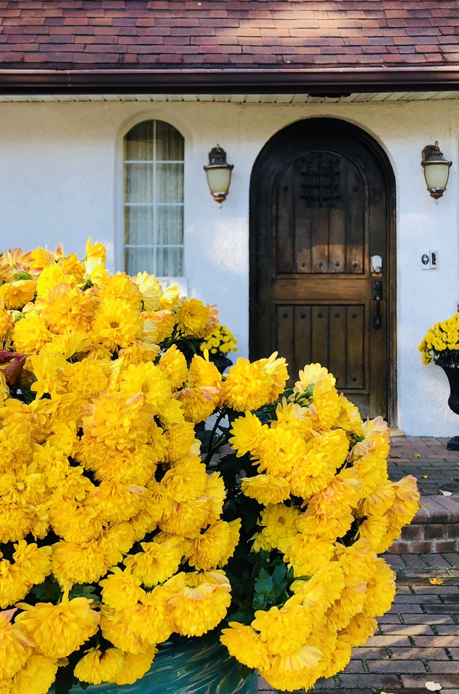 IMG_4679.jpg?type=w966