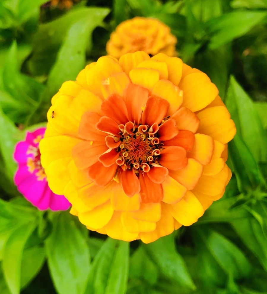 IMG_3639.jpg?type=w966