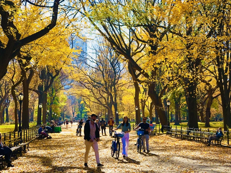 IMG_4307.jpg?type=w966