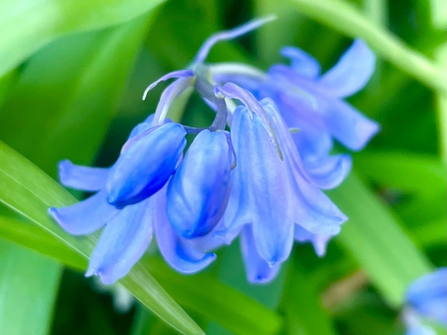 IMG_0580.jpg?type=w966