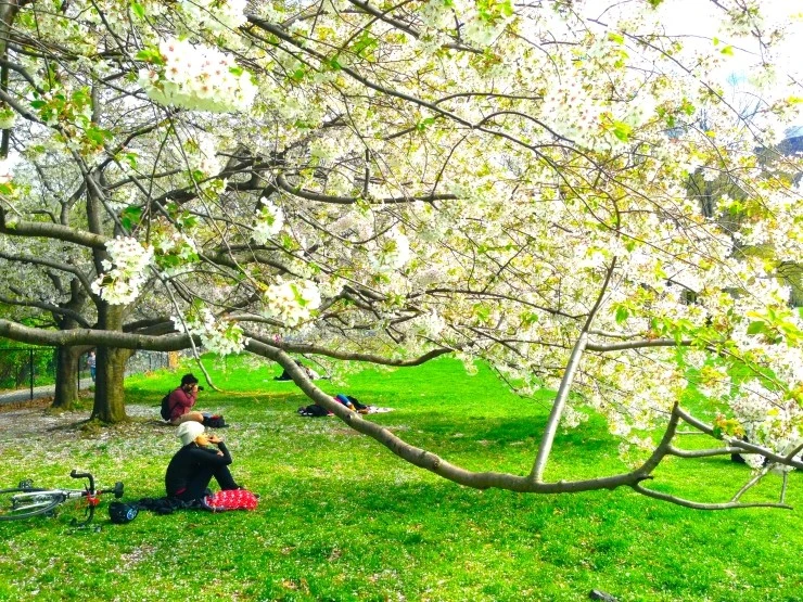 IMG_5039.JPG?type=w1