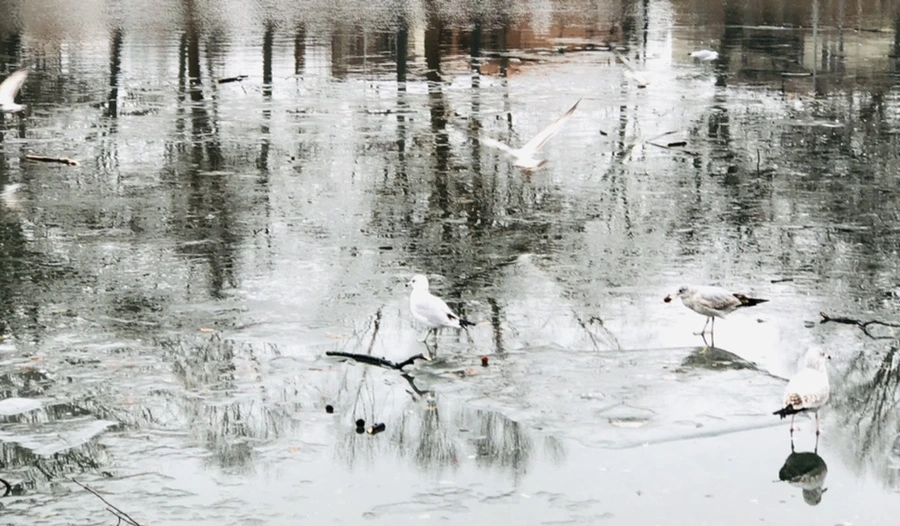 IMG_3174.jpg?type=w966