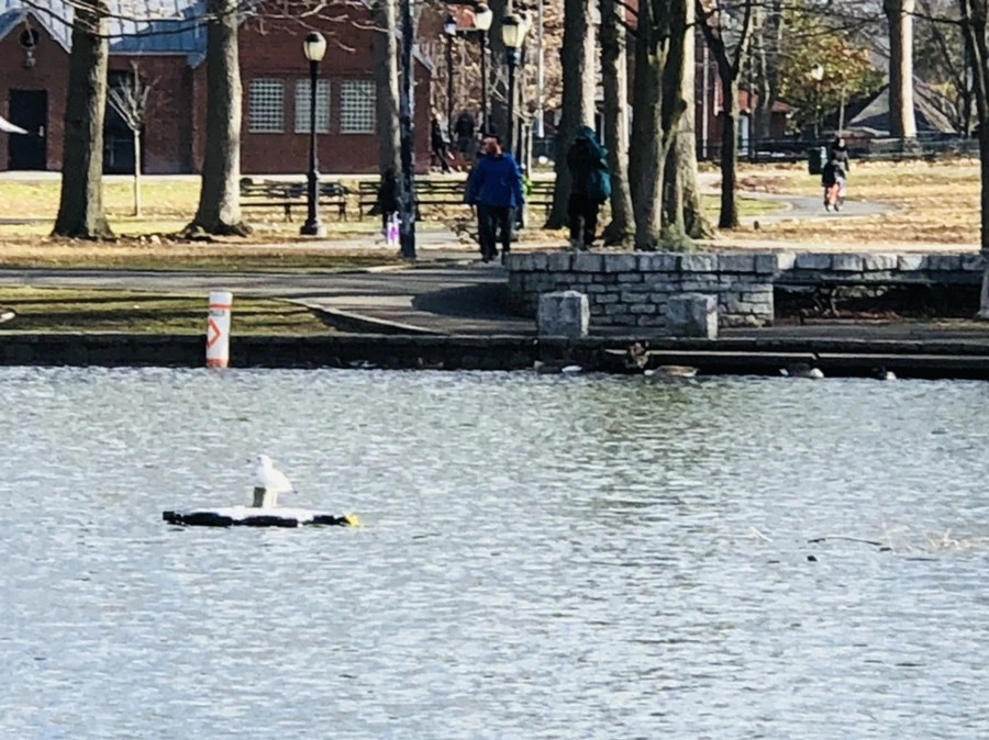 IMG_9223.jpg?type=w966