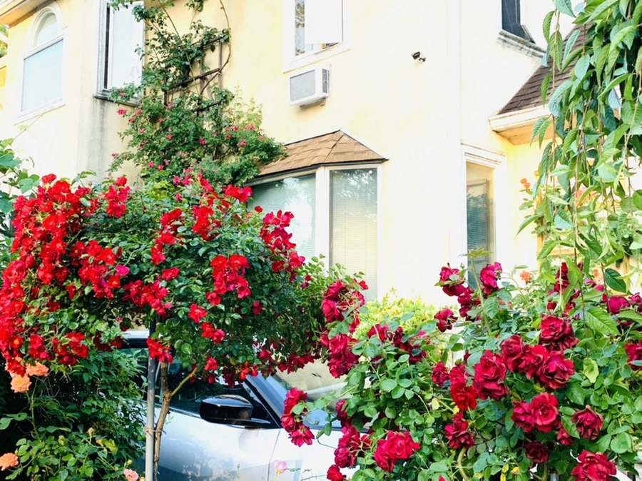 IMG_1486.jpg?type=w966