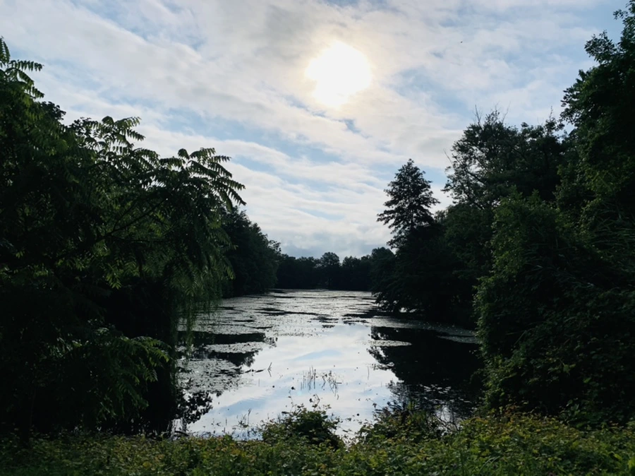 IMG_3092.jpg?type=w966