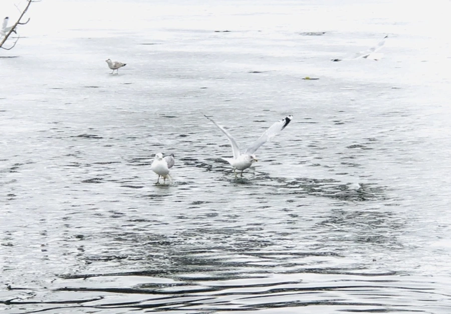 IMG_5901.jpg?type=w966