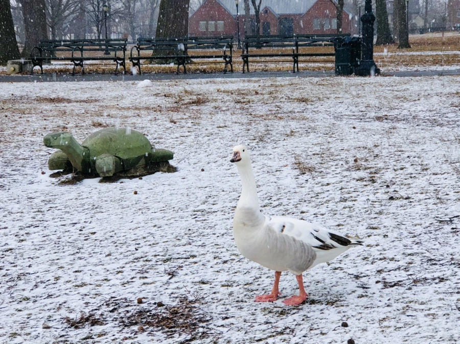 IMG_5946.jpg?type=w966