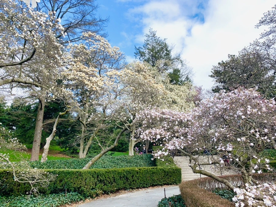 IMG_6491.jpg?type=w966