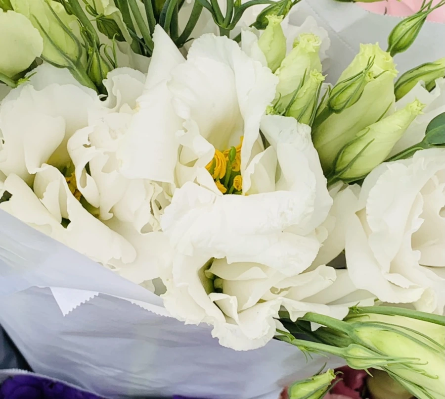 IMG_3304.jpg?type=w966