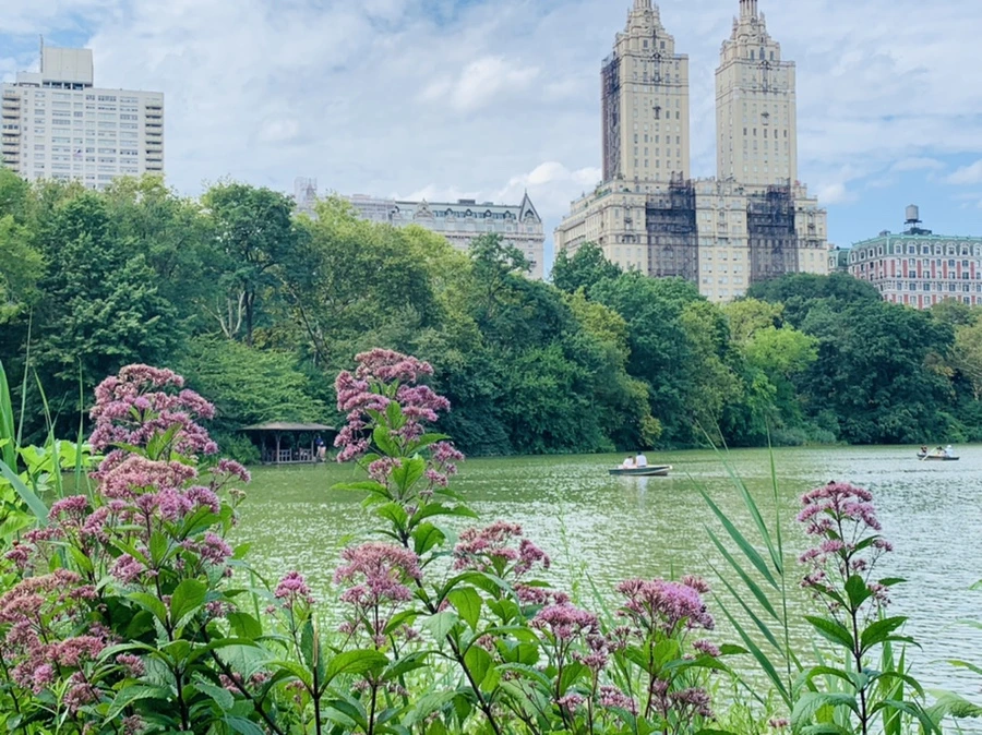 IMG_1586.jpg?type=w966