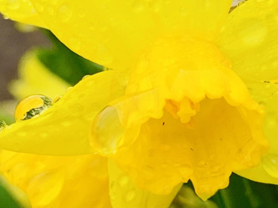 IMG_3753.jpg?type=w966