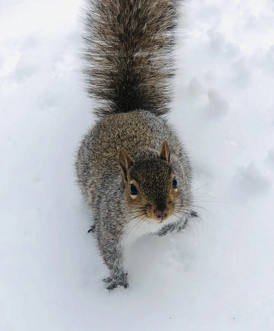 IMG_9250.jpg?type=w966