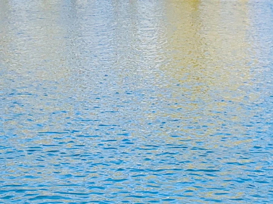 IMG_9897.jpg?type=w966