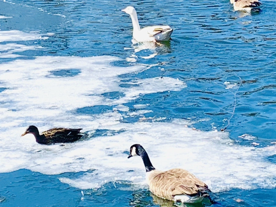 IMG_6874.jpg?type=w966