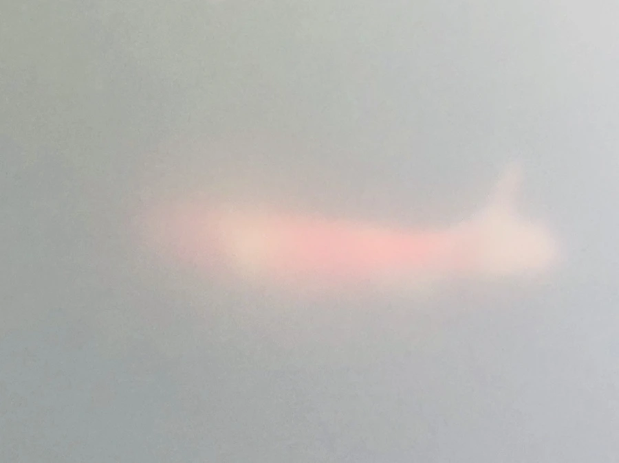 IMG_4660.jpg?type=w966