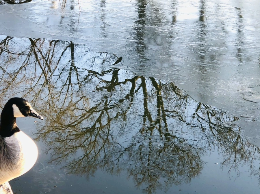 IMG_2244.jpg?type=w966