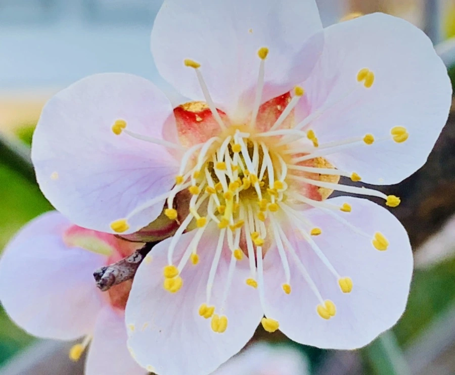 IMG_0788.jpg?type=w966