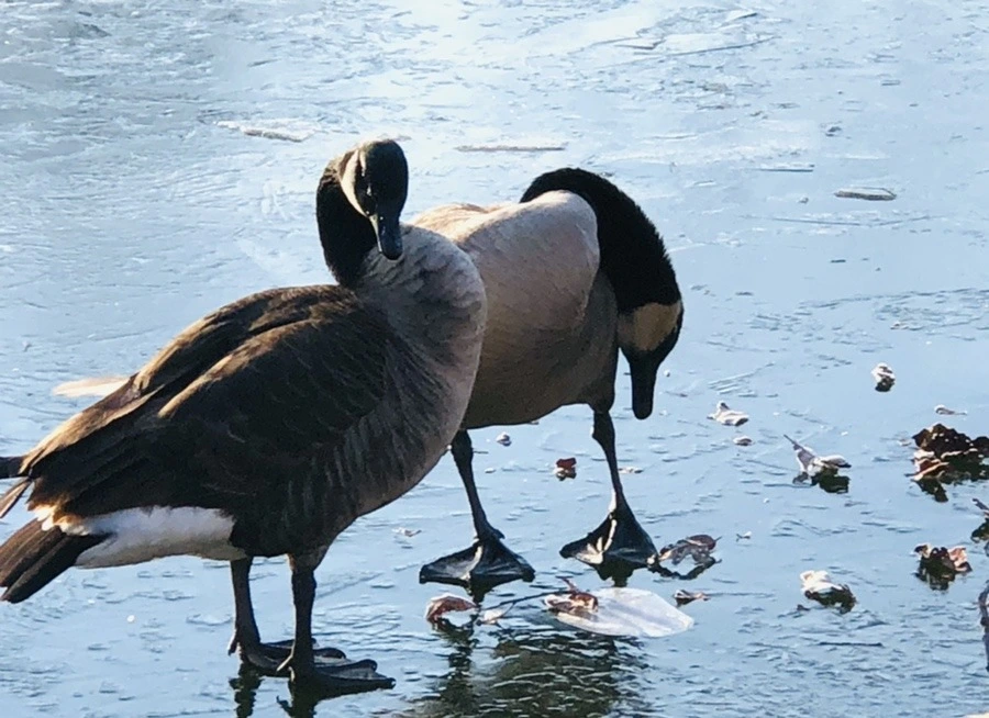 UGrvwFyEkTq4MuzBcmT4HD2-HYY