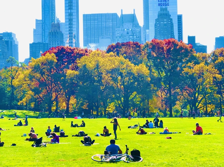 IMG_3825.jpg?type=w966