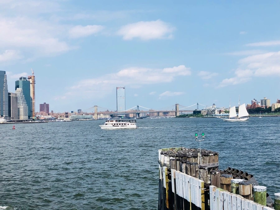 IMG_3118.jpg?type=w966