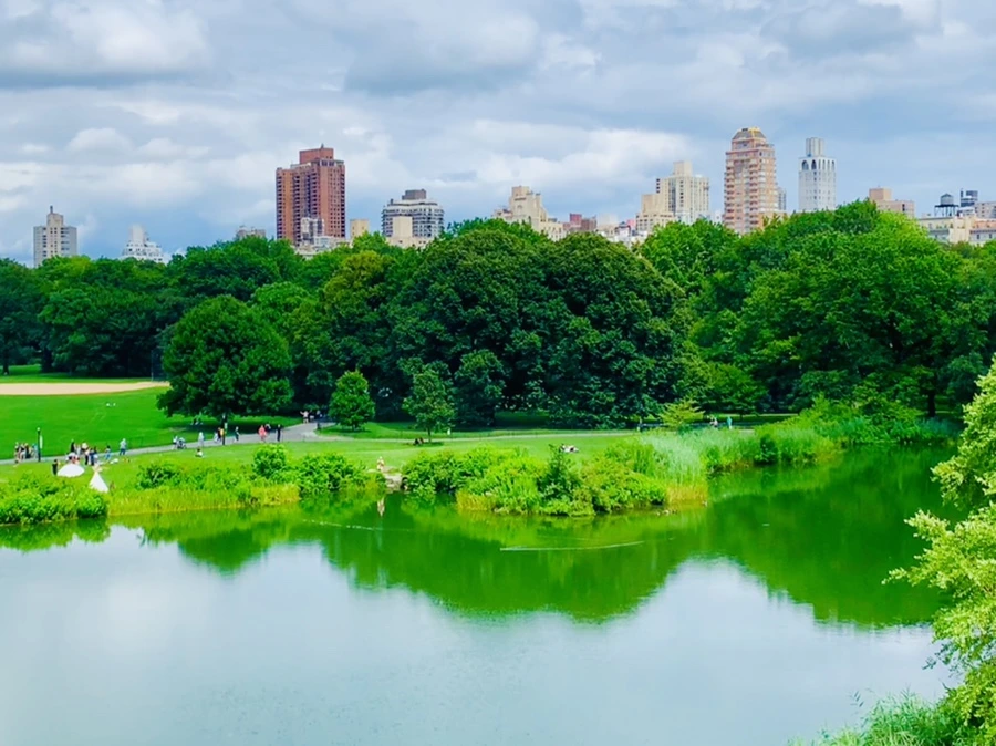 IMG_7927.jpg?type=w966