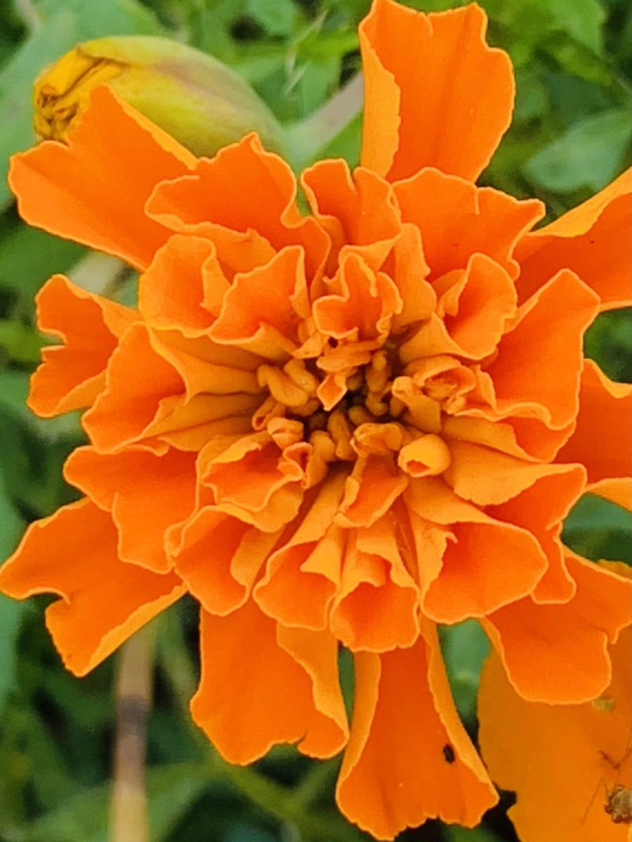 IMG_8354.jpg?type=w966