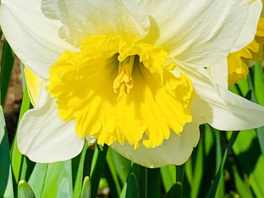 IMG_4172.jpg?type=w966