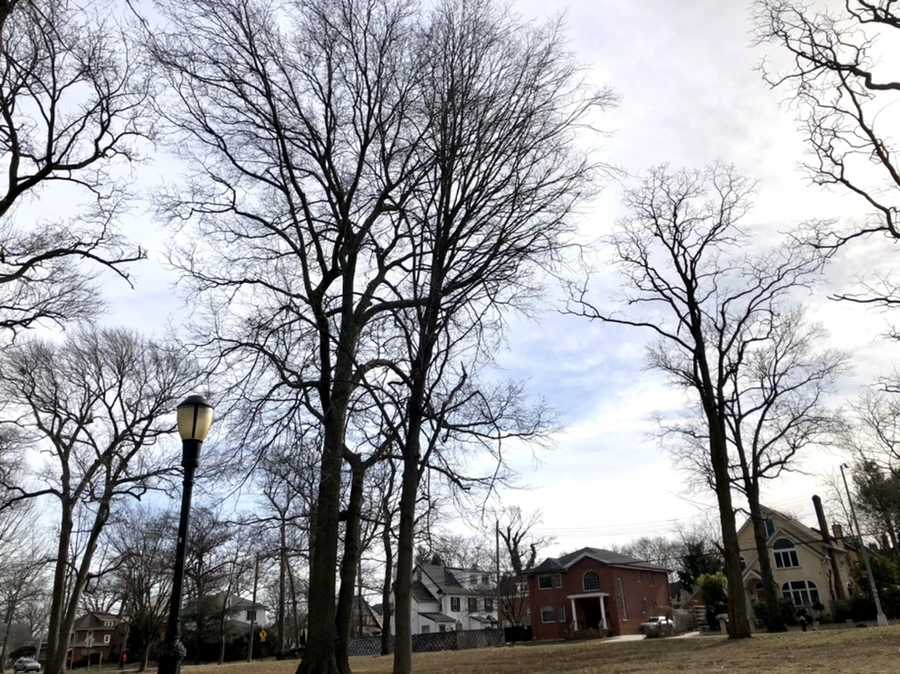 IMG_5750.jpg?type=w966