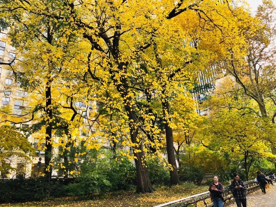 IMG_7500.jpg?type=w966