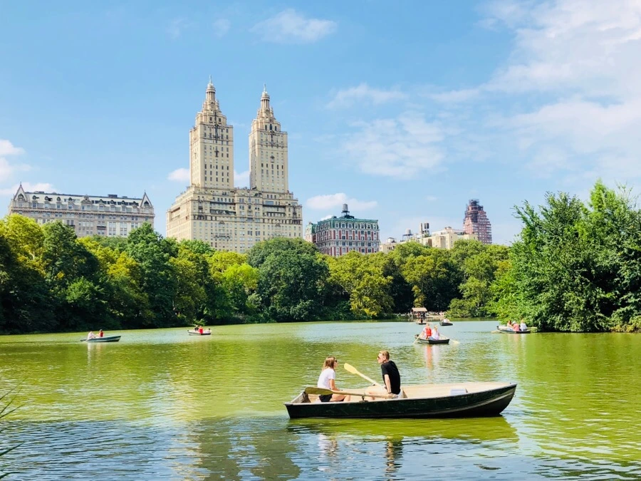 IMG_3738.jpg?type=w966