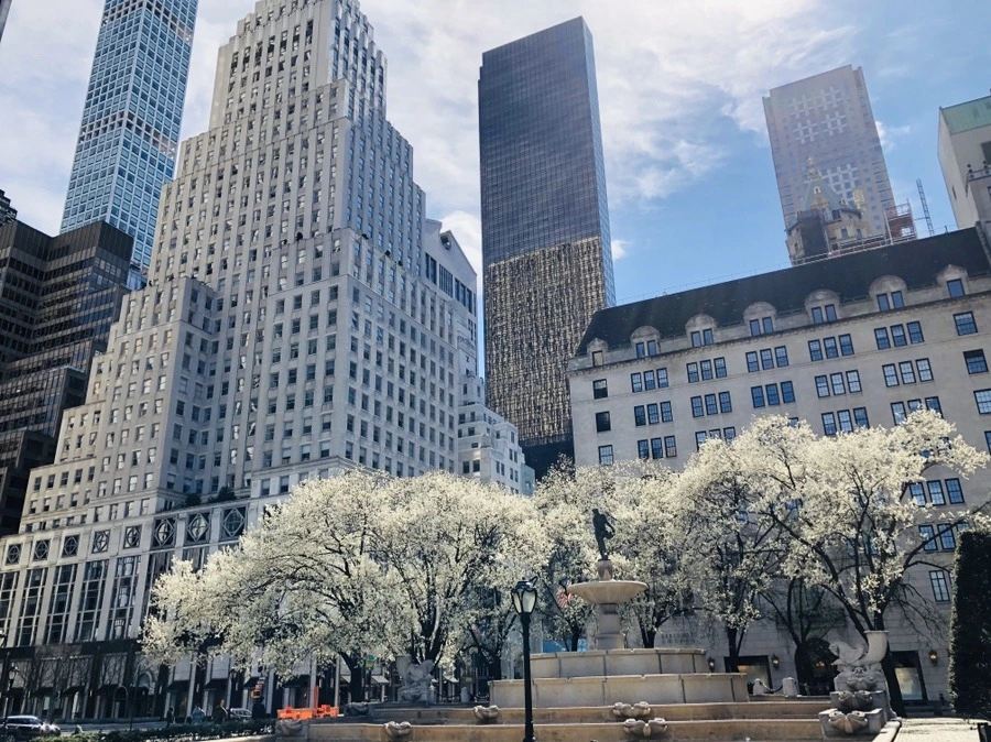 p1o979VXytPMRQDqrpPU3hQr3aY