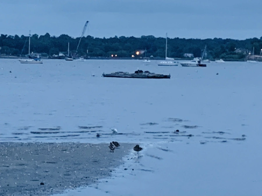 IMG_6742.jpg?type=w966