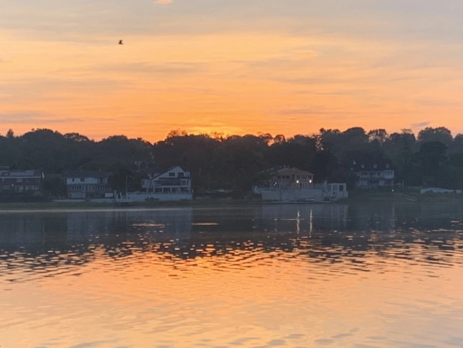 IMG_6796.jpg?type=w966