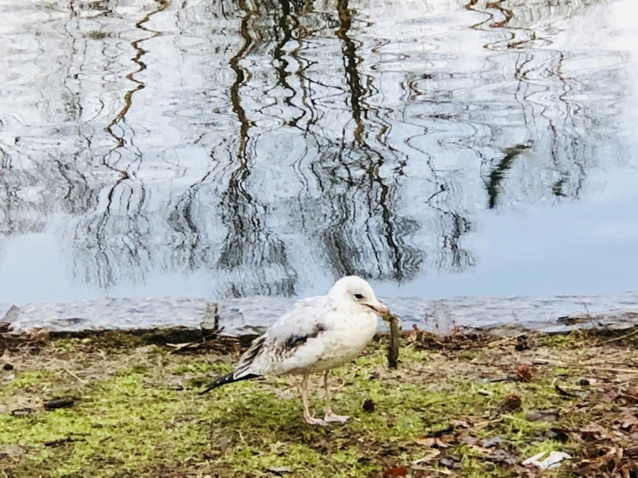 IMG_9124.jpg?type=w966