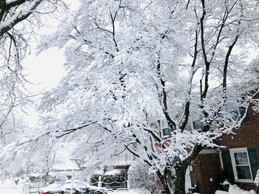 IMG_0964.jpg?type=w966