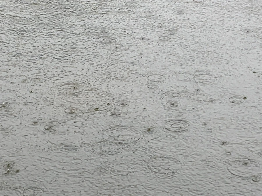 IMG_2080.jpg?type=w966