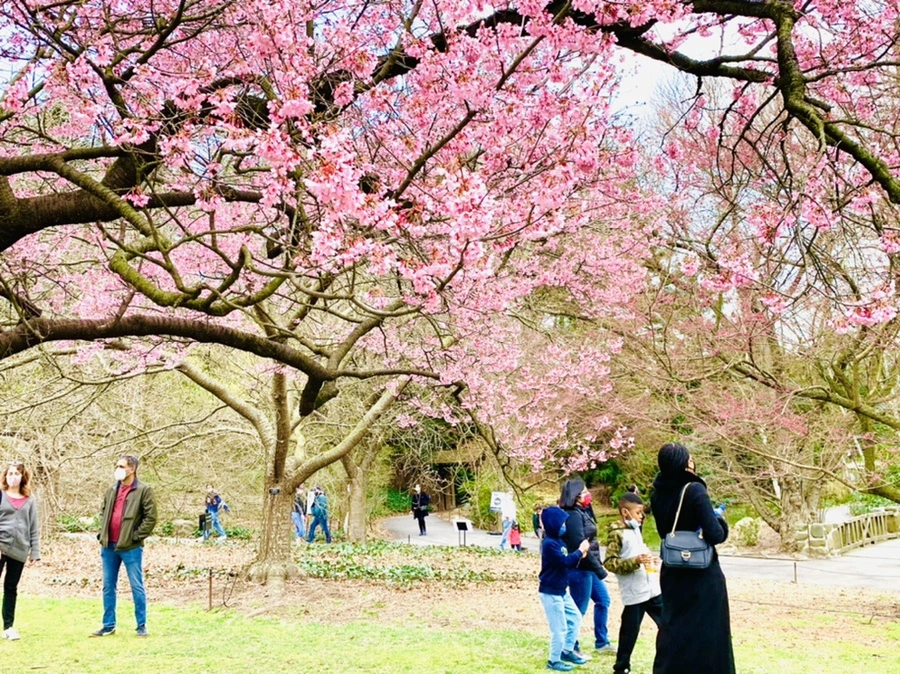 IMG_7073.jpg?type=w966