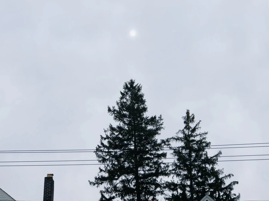 IMG_8173.jpg?type=w966