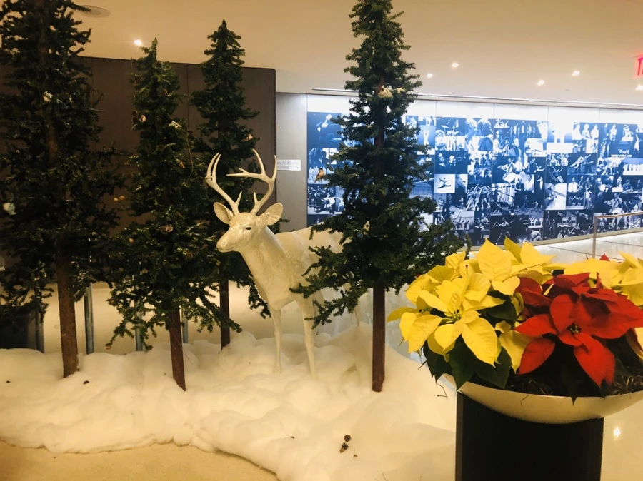 IMG_2441.jpg?type=w966