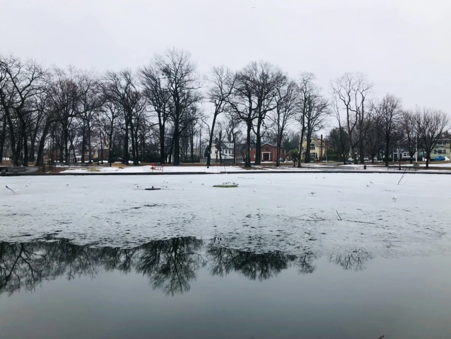 IMG_5496.jpg?type=w966