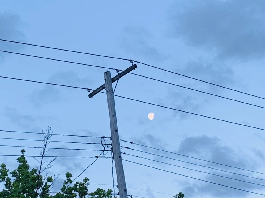 IMG_7501.jpg?type=w966