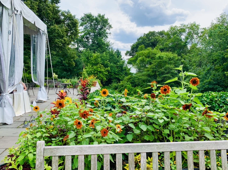 IMG_9323.jpg?type=w966