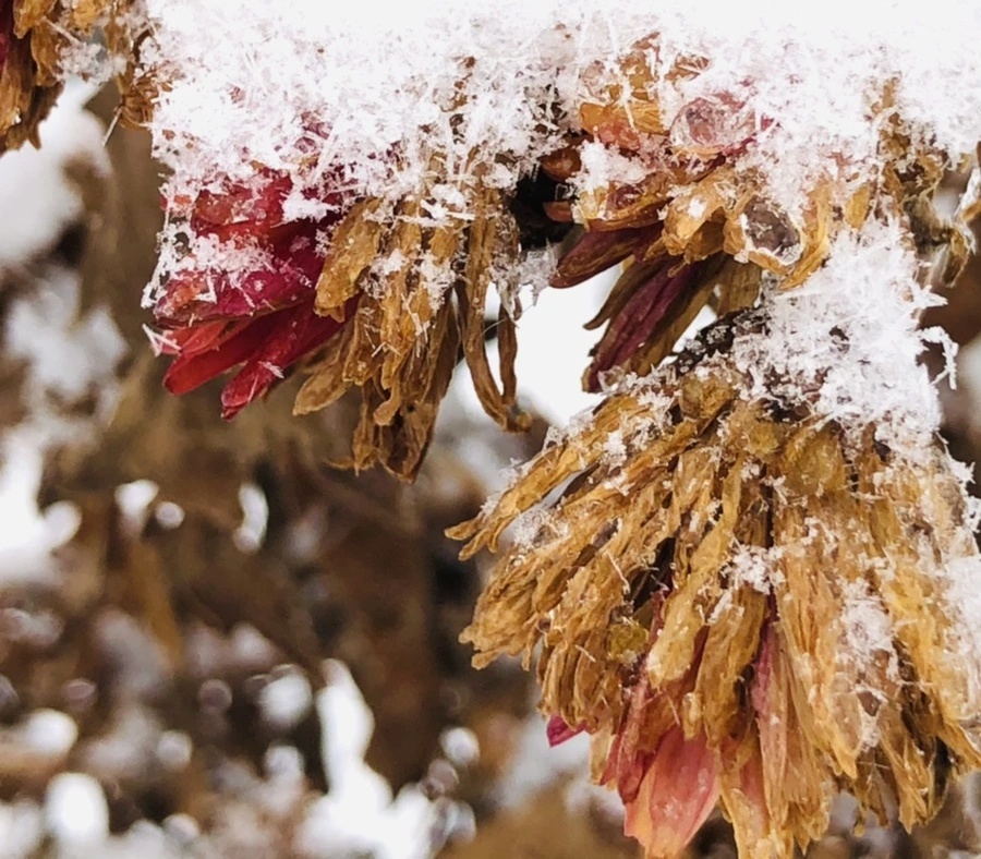 IMG_3449.jpg?type=w966